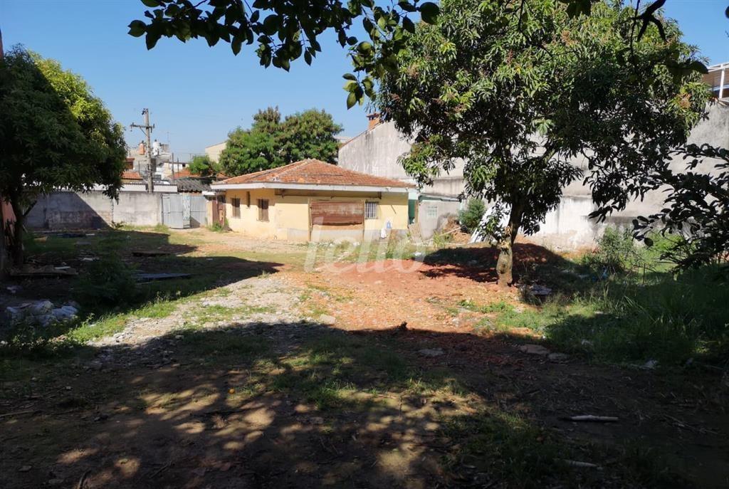 7 de Área / Terreno à venda, Padrão com 1500 m², e em Vila Nilo - São Paulo