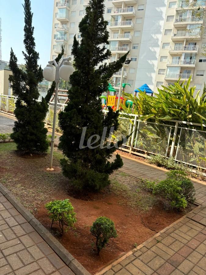 WHATSAPP IMAGE 2024-08-22 AT 08 de Apartamento para alugar, Padrão com 52 m², 2 quartos e 1 vaga em Jardim Santa Terezinha - São Paulo