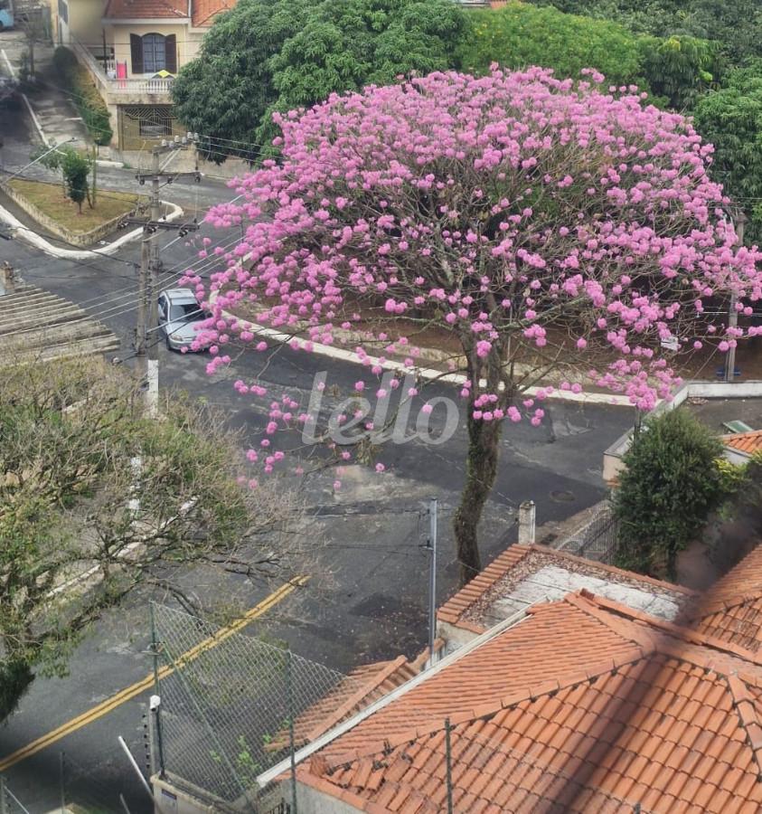 VISTA AMPLA de Apartamento à venda, Padrão com 72 m², 3 quartos e 2 vagas em Vila Formosa - São Paulo