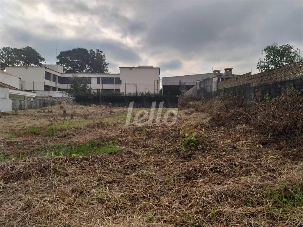 TERRENO de Área / Terreno à venda, Padrão com 1000 m², e em Vila Mazzei - São Paulo