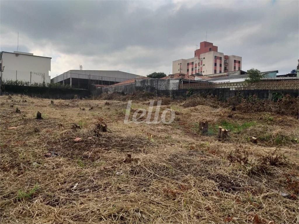 TERRENO de Área / Terreno à venda, Padrão com 1000 m², e em Vila Mazzei - São Paulo