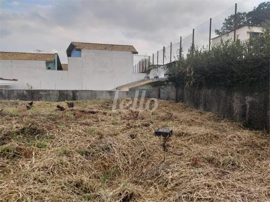 TERRENO de Área / Terreno à venda, Padrão com 1000 m², e em Vila Mazzei - São Paulo