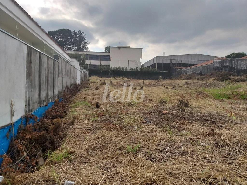 TERRENO de Área / Terreno à venda, Padrão com 1000 m², e em Vila Mazzei - São Paulo