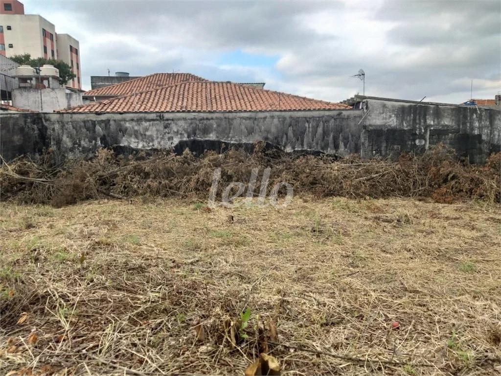 TERRENO de Área / Terreno à venda, Padrão com 1000 m², e em Vila Mazzei - São Paulo