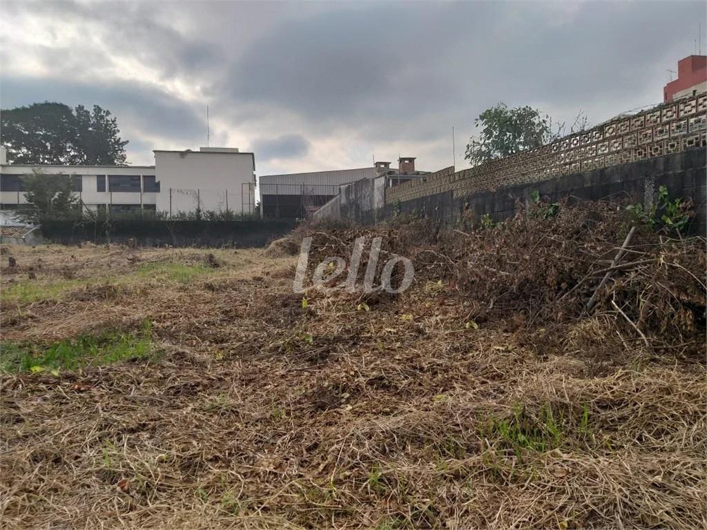 TERRENO de Área / Terreno à venda, Padrão com 1000 m², e em Vila Mazzei - São Paulo