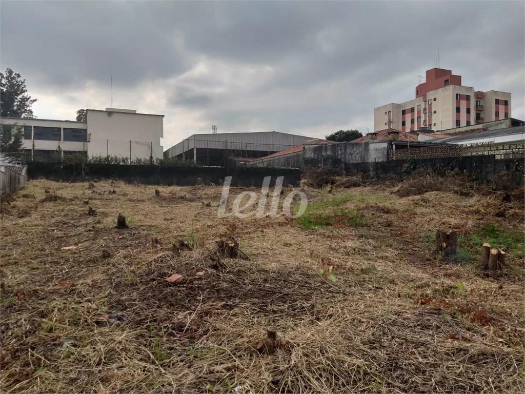 TERRENO de Área / Terreno à venda, Padrão com 1000 m², e em Vila Mazzei - São Paulo