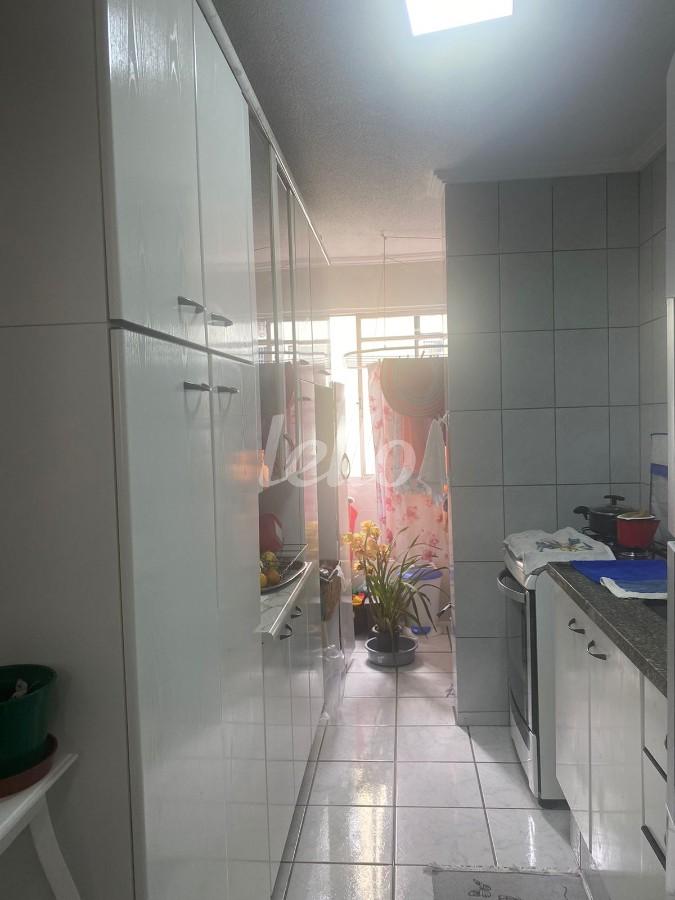 COZINHA de Apartamento para alugar, Padrão com 50 m², 2 quartos e em Brás - São Paulo