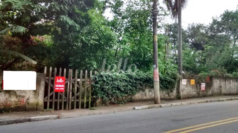 TERRENO de Área / Terreno à venda, Padrão com 1739 m², e em Horto Florestal - São Paulo