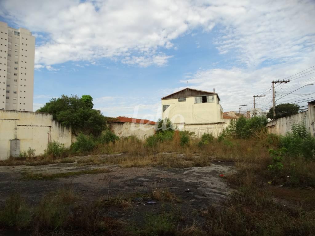 TERRENO de Área / Terreno para alugar, Padrão com 1459 m², e em Maranhão - São Paulo