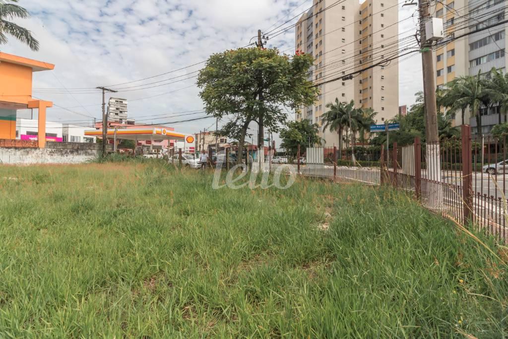 TERRENO de Área / Terreno para alugar, Padrão com 1200 m², e em Vila Romana - São Paulo
