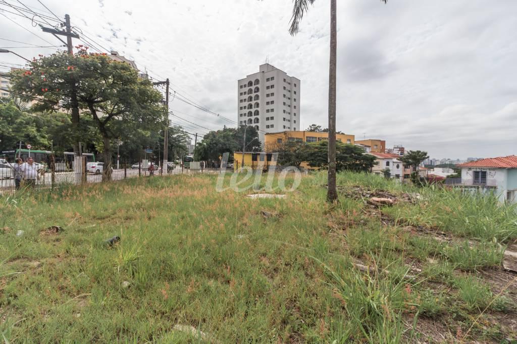 TERRENO de Área / Terreno para alugar, Padrão com 1200 m², e em Vila Romana - São Paulo