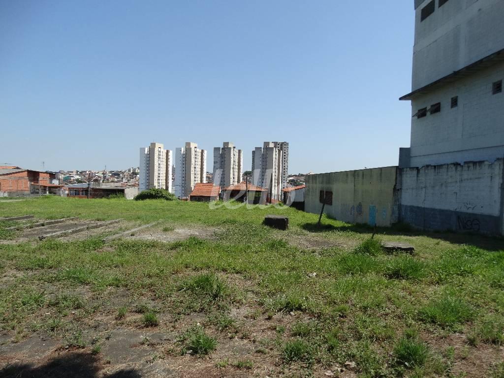 TERRENO de Área / Terreno para alugar, Padrão com 5000 m², e em Vila Nova Pauliceia - São Paulo
