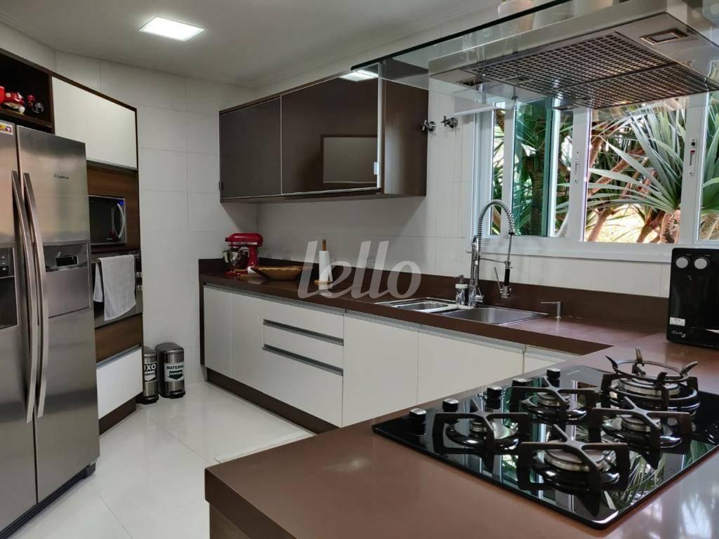 COZINHA de Casa para alugar, sobrado com 614 m², 4 quartos e 7 vagas em Campestre - Santo André
