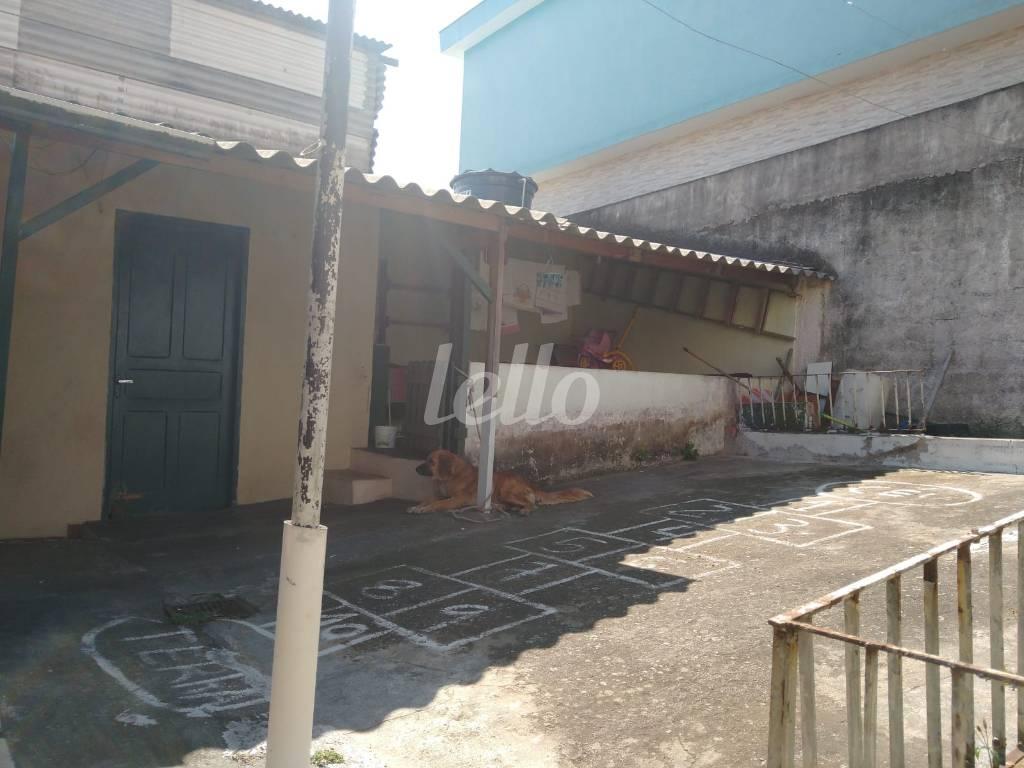 ÁREA EXTERNA de Área / Terreno à venda, Padrão com 250 m², e em Vila Tibiriçá - Santo André