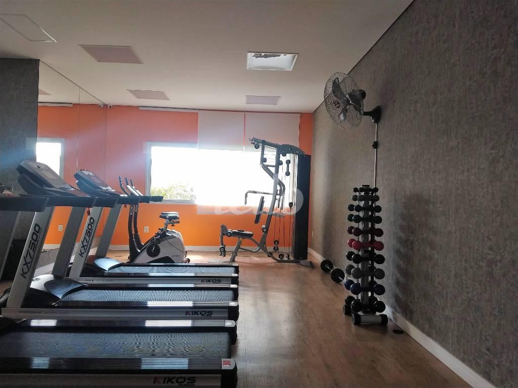 AMBIENTE FITNESS