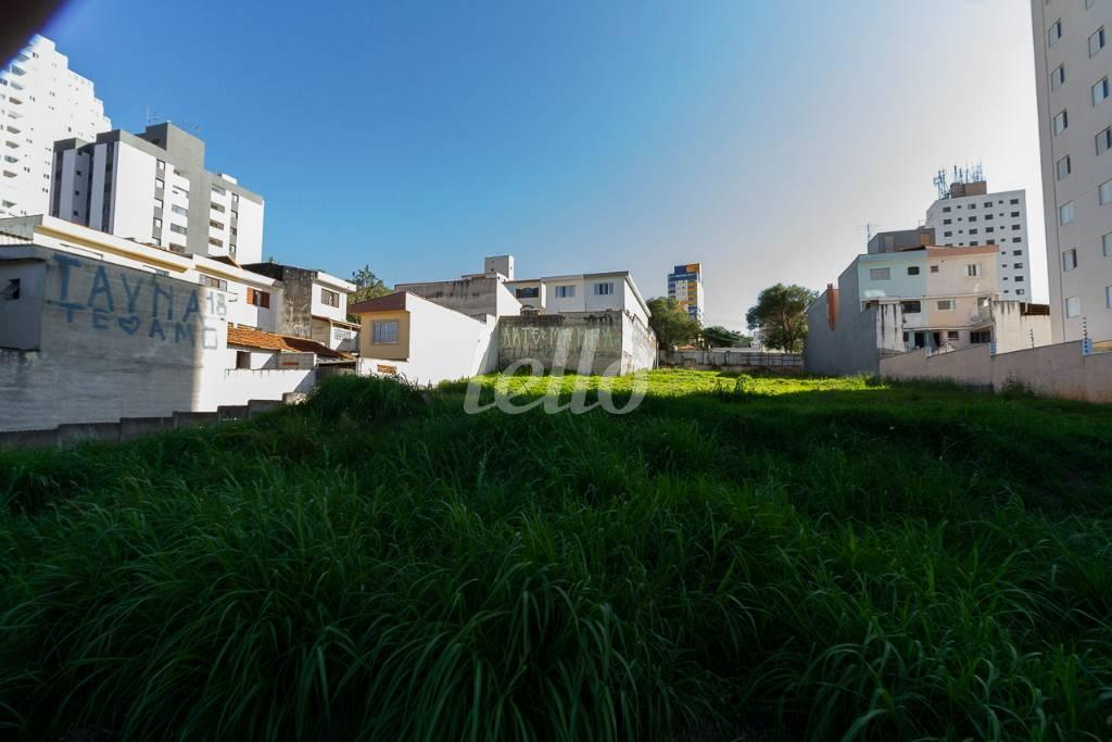 TERRENO de Área / Terreno para alugar, Padrão com 1994 m², e em Vila Baeta Neves - São Bernardo do Campo