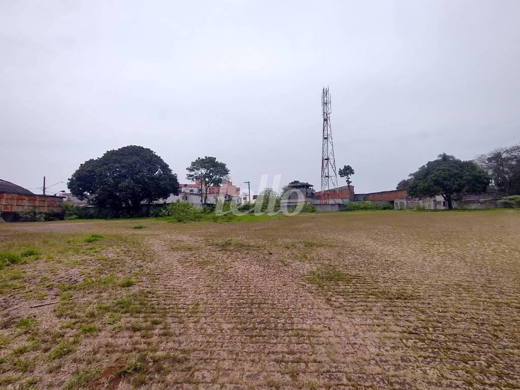PÁTIO de Área / Terreno para alugar, Padrão com 5000 m², e em Vila Água Funda - São Paulo