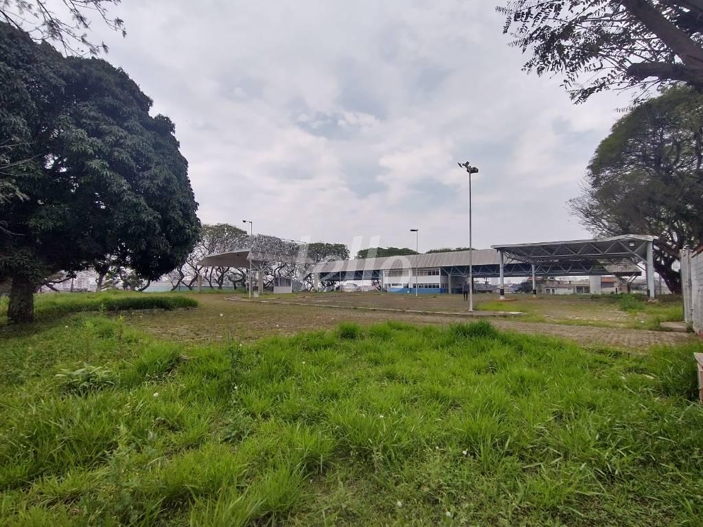 ÁREA de Área / Terreno para alugar, Padrão com 9967 m², e em Vila Água Funda - São Paulo