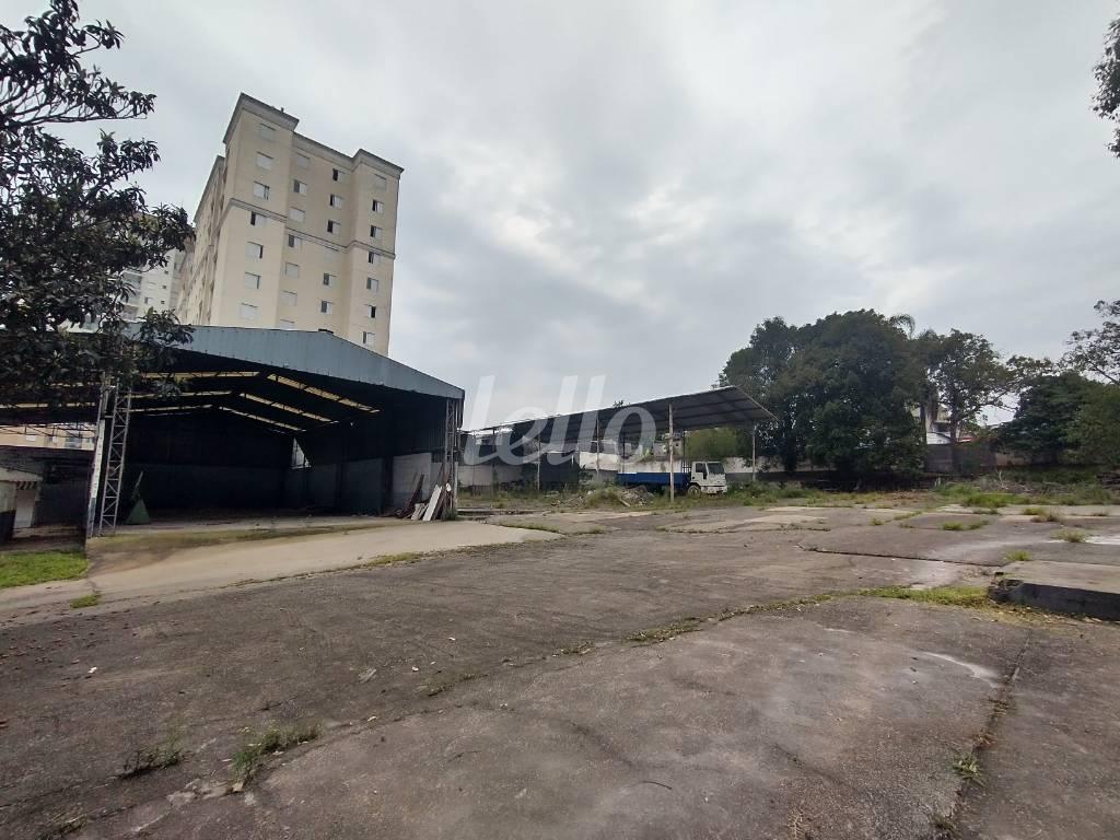ÁREA de Área / Terreno para alugar, Padrão com 3000 m², e em Vila Água Funda - São Paulo