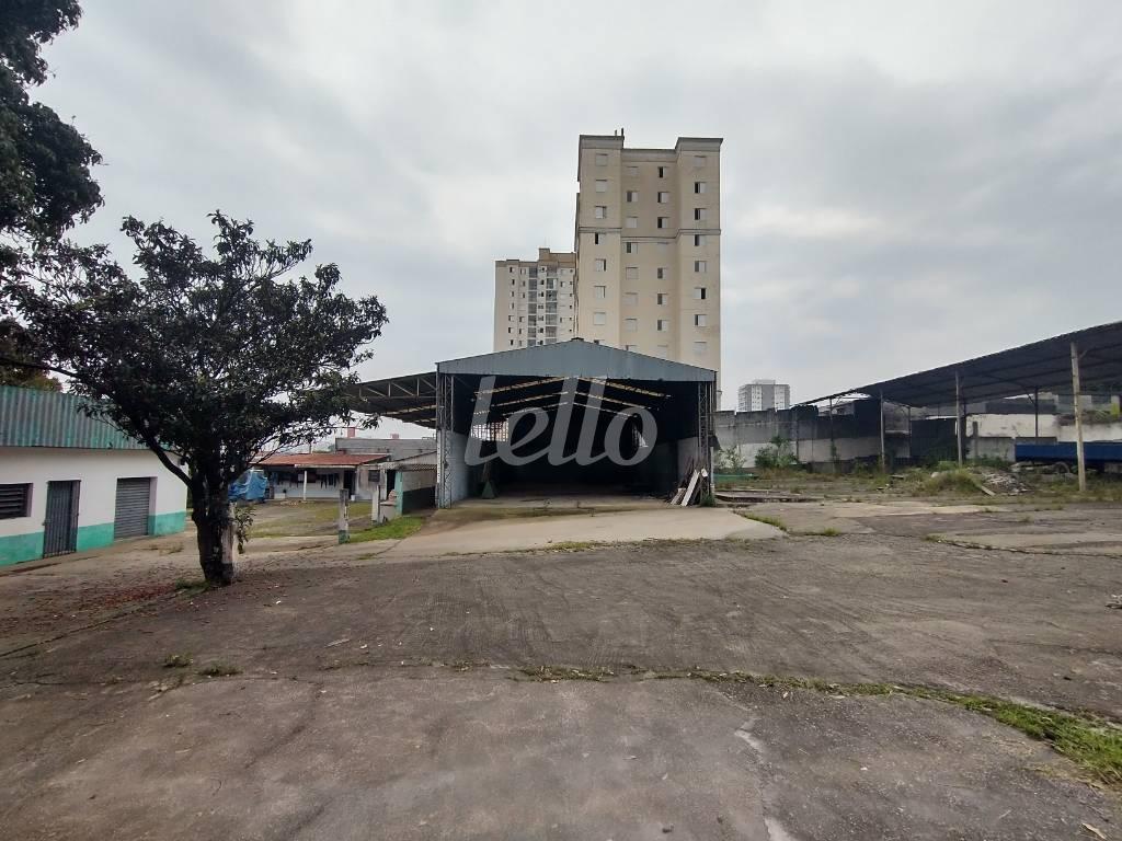 GALPÃO de Área / Terreno para alugar, Padrão com 3000 m², e em Vila Água Funda - São Paulo
