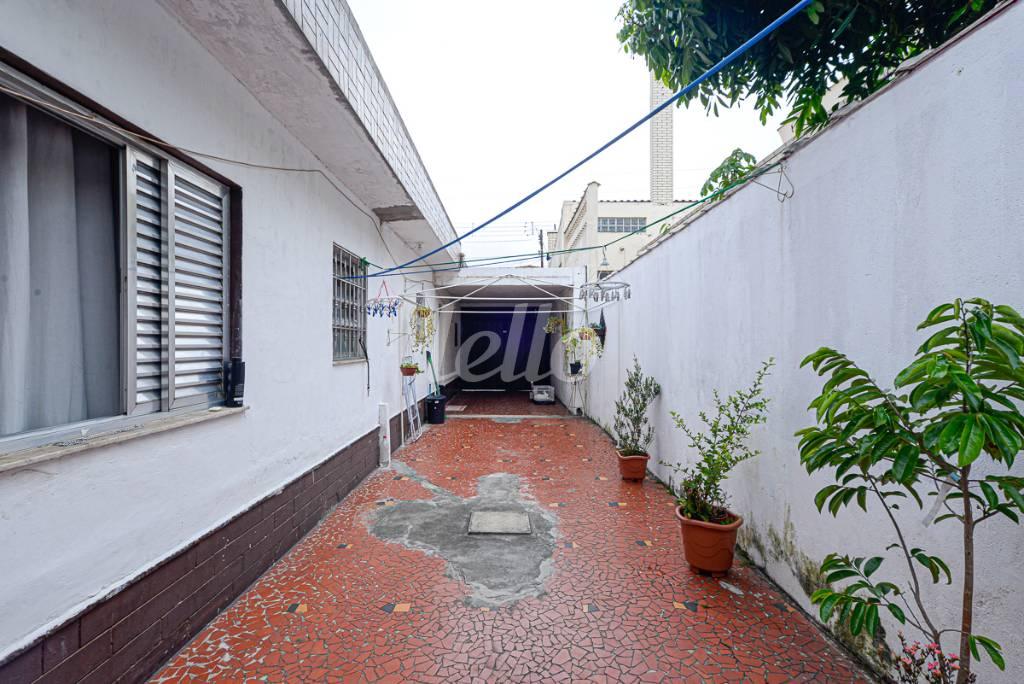 QUINTAL de Casa à venda, térrea com 200 m², 3 quartos e 5 vagas em Chácara Mafalda - São Paulo