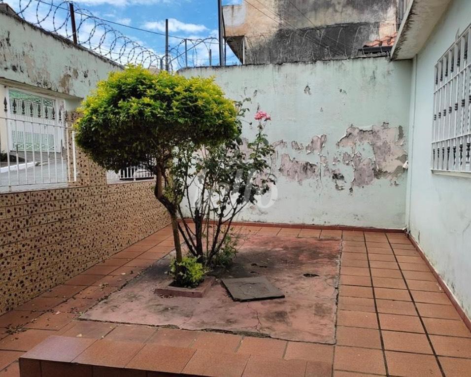 JARDIM FACHADA de Casa à venda, térrea com 120 m², 2 quartos e 1 vaga em Vila Santa Clara - São Paulo