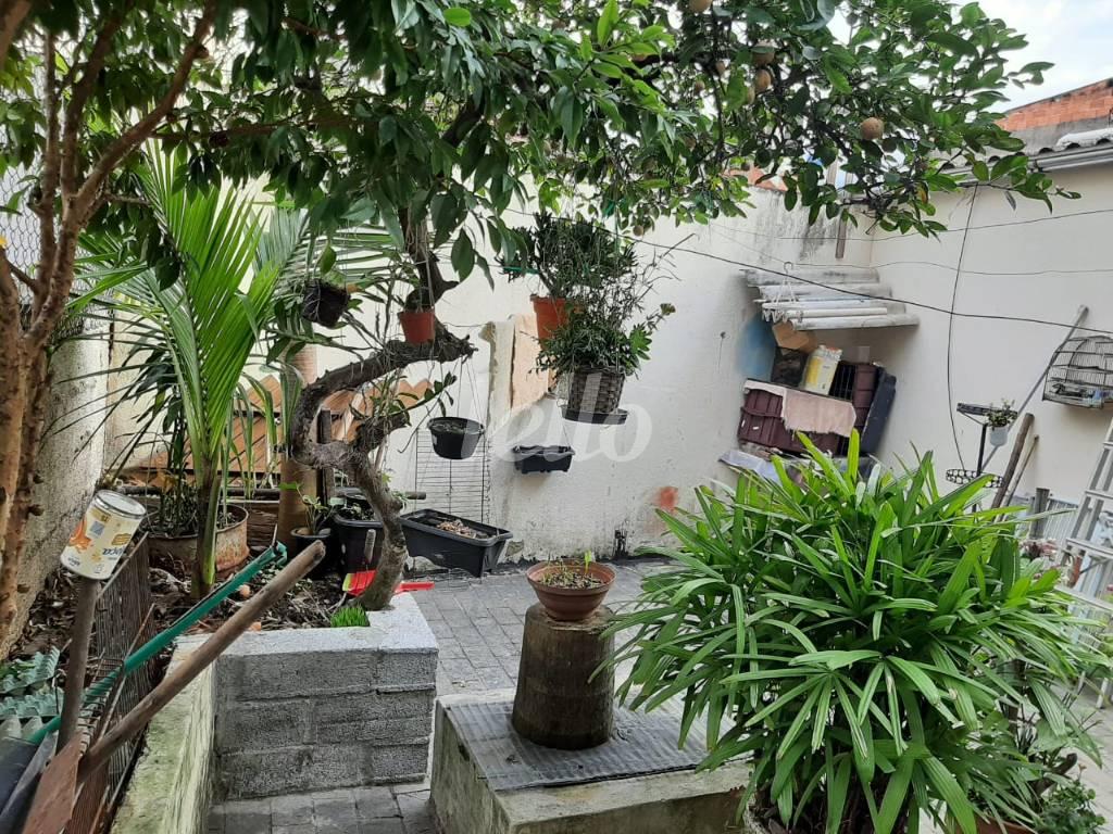 QUINTAL de Casa à venda, assobradada com 80 m², 2 quartos e 1 vaga em Horto Florestal - São Paulo