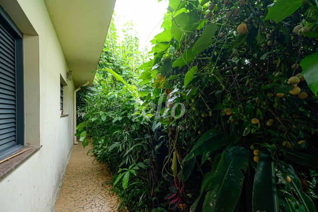 _MSS1816 de Casa à venda, térrea com 245 m², 4 quartos e 2 vagas em Planalto Paulista - São Paulo
