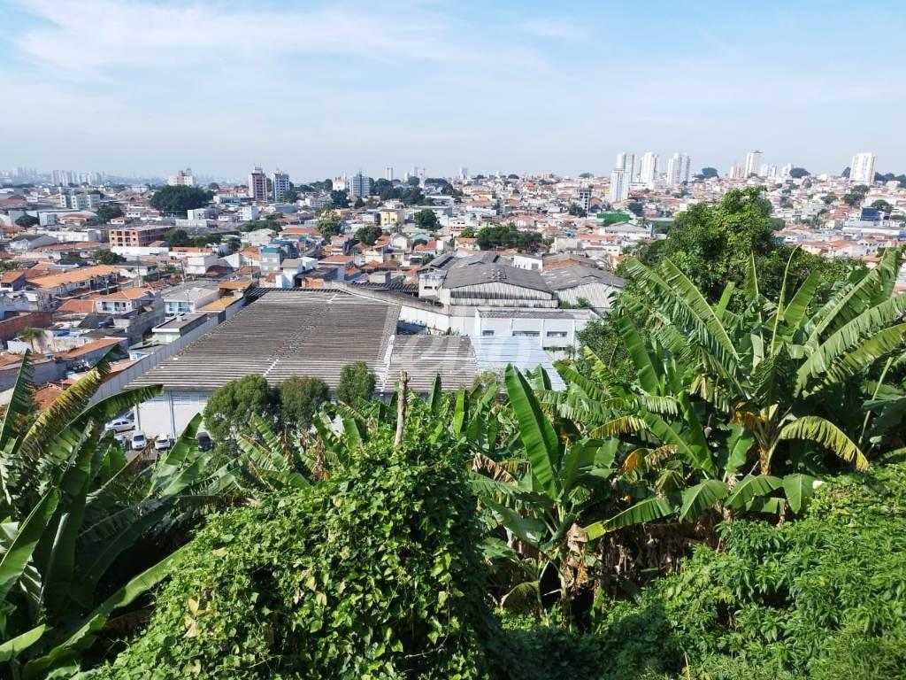 VISTA DOS FUNDOS de Casa à venda, assobradada com 156 m², 3 quartos e 3 vagas em Vila Nova Mazzei - São Paulo