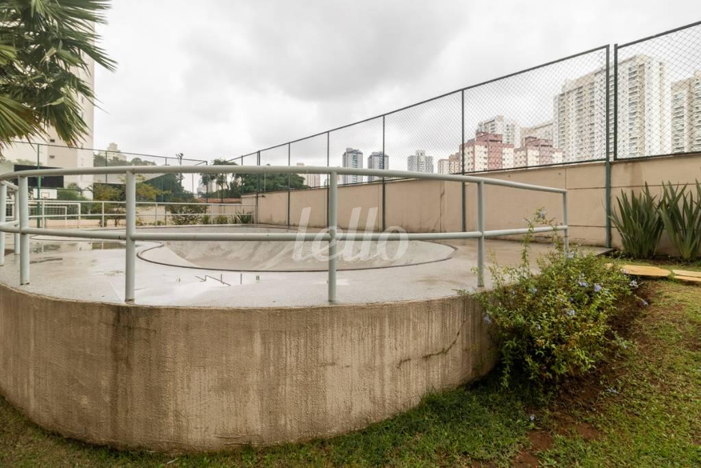 PISTA DE SKATE