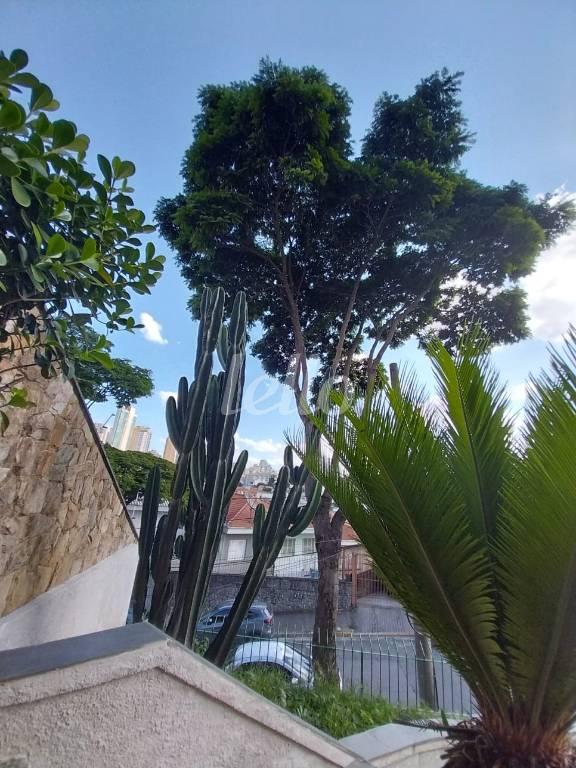 QUINTAL de Casa à venda, sobrado com 200 m², 3 quartos e 4 vagas em Água Fria - São Paulo