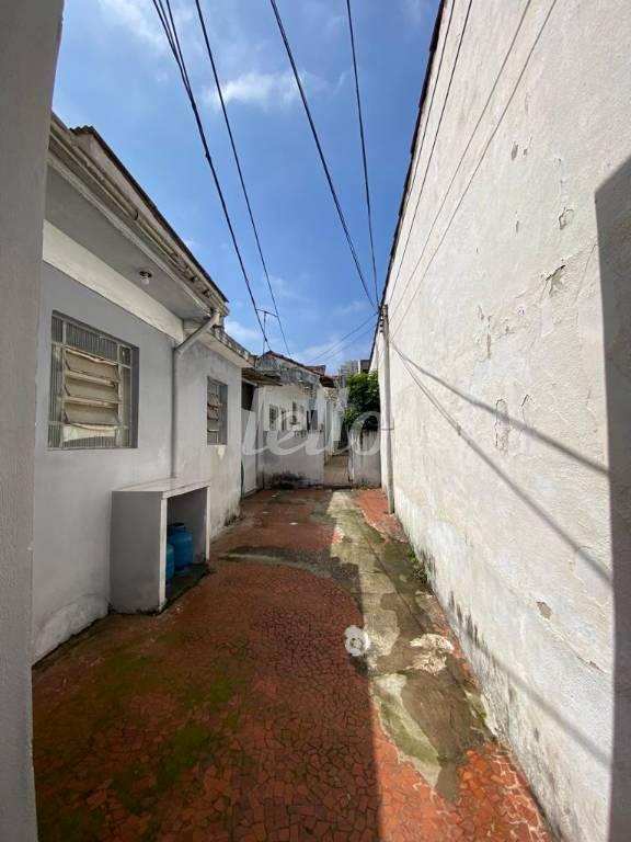VISTA DO FUNDO de Área / Terreno à venda, Padrão com 300 m², e em Belenzinho - São Paulo