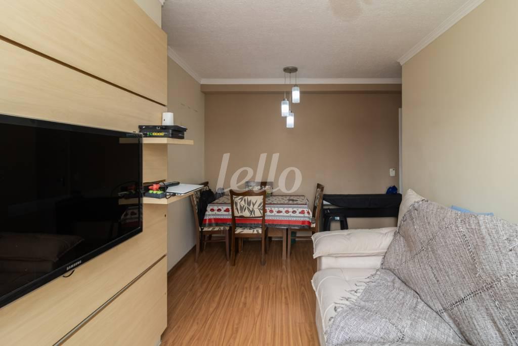 SALA de Apartamento para alugar, Padrão com 61 m², 2 quartos e 1 vaga em Vila Talarico - São Paulo