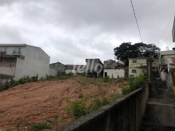 TERRENO de Área / Terreno para alugar, Padrão com 2000 m², e em Vila Marieta - São Paulo