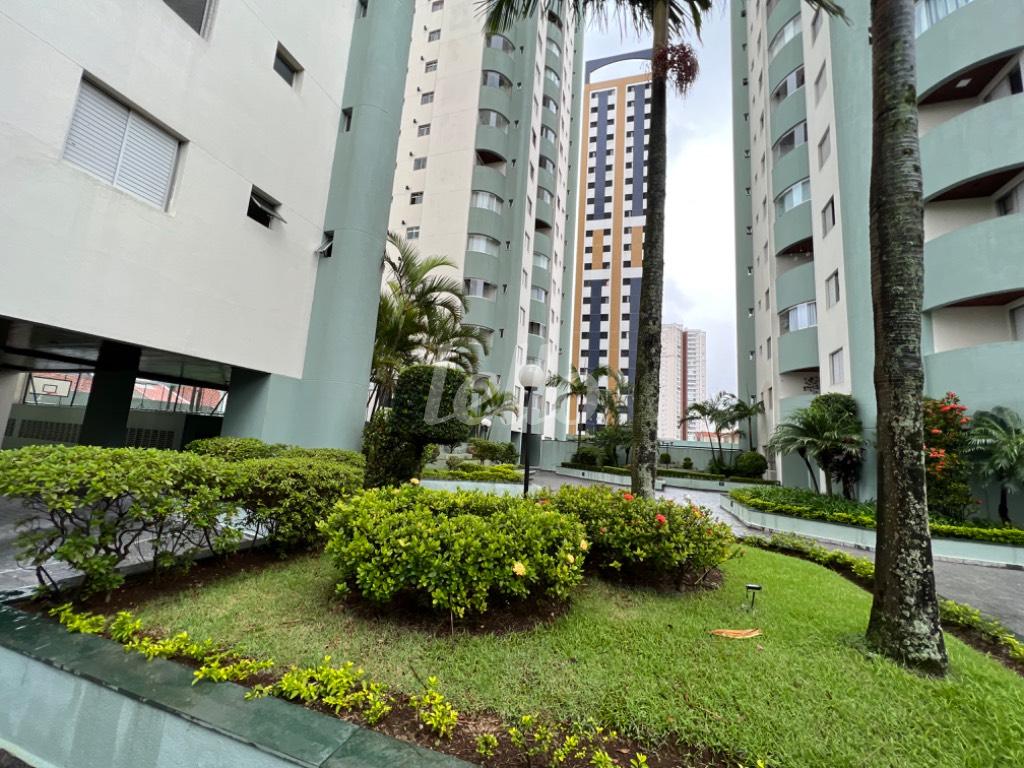 PREDIO de Apartamento à venda, Padrão com 78 m², 3 quartos e 1 vaga em Alto da Moóca - São Paulo