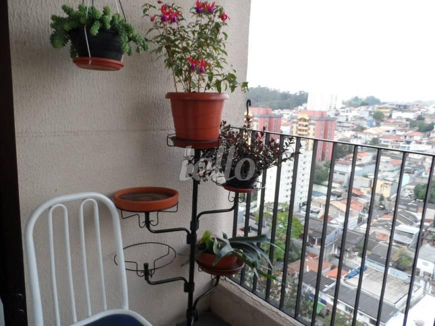 FOTO de Apartamento à venda, Padrão com 70 m², 3 quartos e 2 vagas em Jardim Paraíso - São Paulo