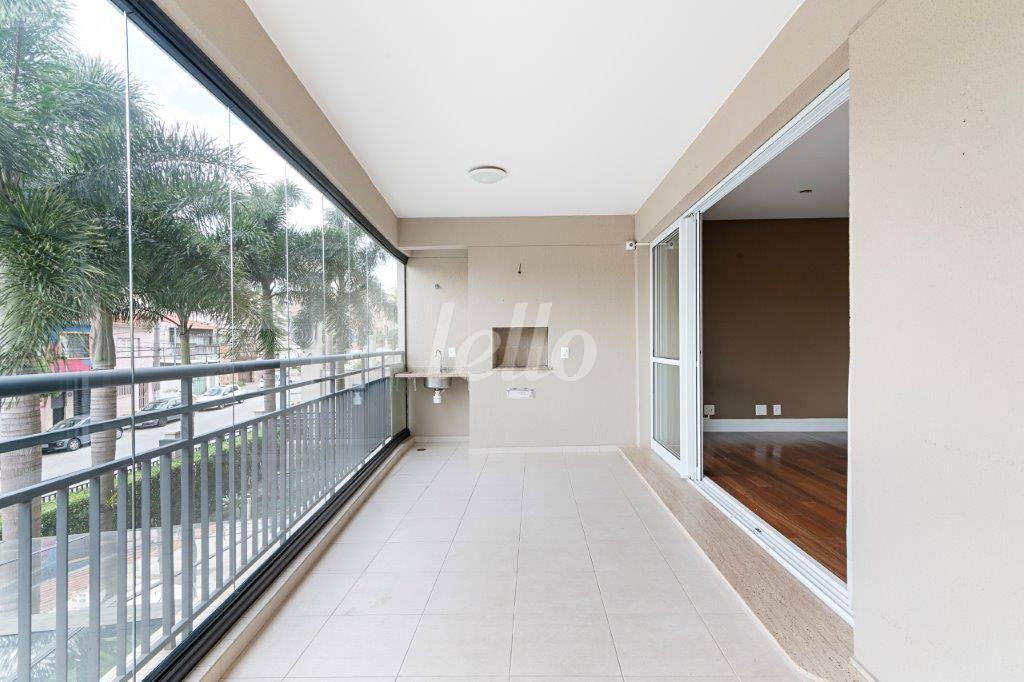 TERRAÇO de Apartamento para alugar, Padrão com 133 m², 3 quartos e 2 vagas em Ipiranga - São Paulo