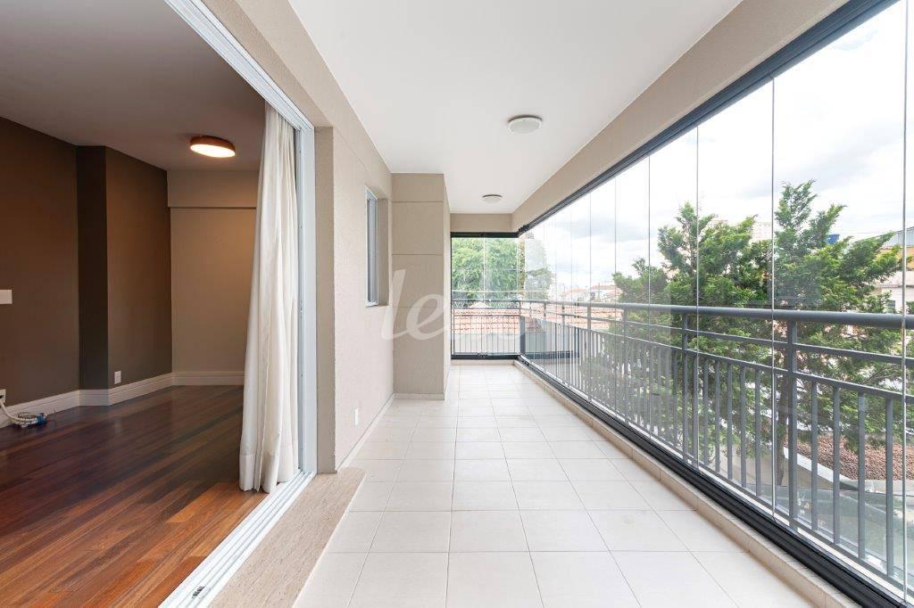 TERRAÇO de Apartamento para alugar, Padrão com 133 m², 3 quartos e 2 vagas em Ipiranga - São Paulo