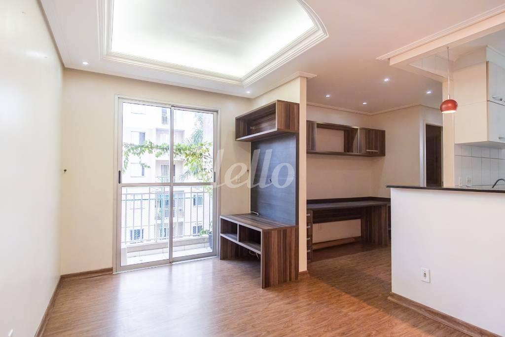 SALA de Apartamento para alugar, Padrão com 50 m², 1 quarto e 1 vaga em Vila Moreira - São Paulo