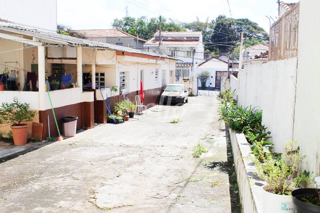 QUINTAL de Casa à venda, térrea com 300 m², 2 quartos e 6 vagas em Vila Cordeiro - São Paulo